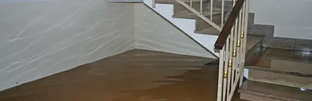 Basement stairs with standing water at the bottom