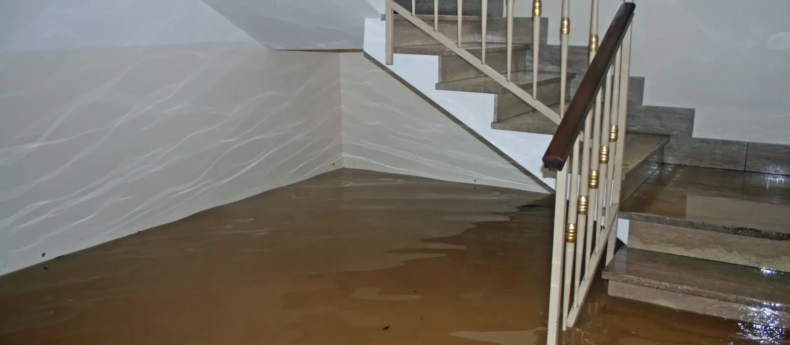 Basement stairs with standing water at the bottom
