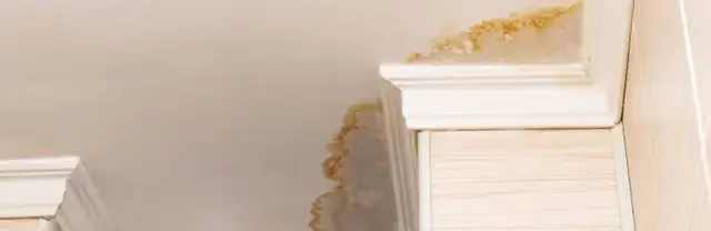 Water stain spreading across a ceiling corner