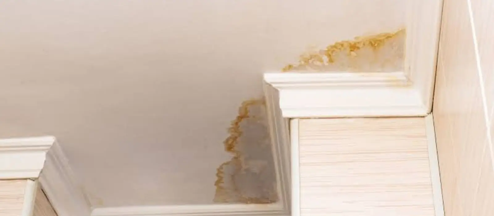 Water stain spreading across a ceiling corner