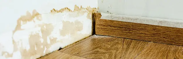 Water staining along the bottom of a wall above a wood floor
