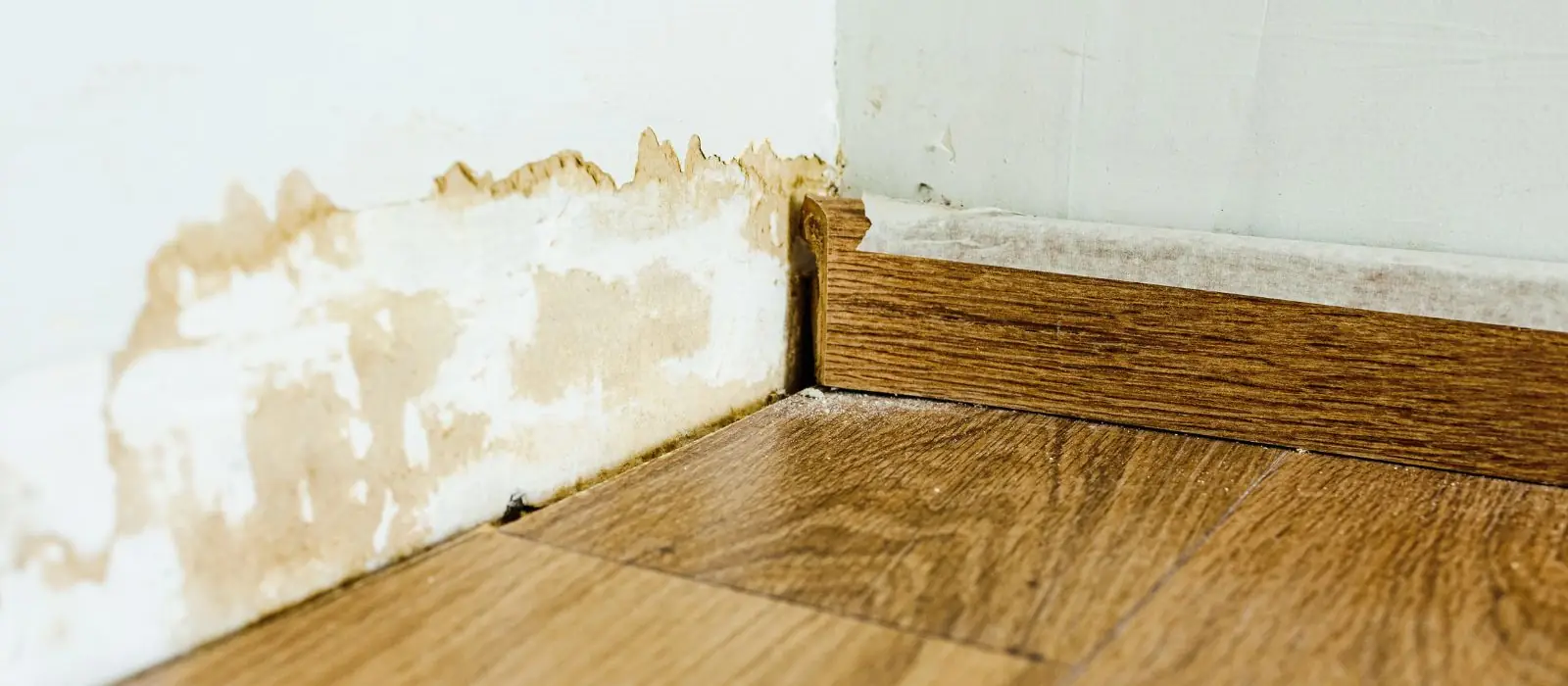 Water staining along the bottom of a wall above a wood floor